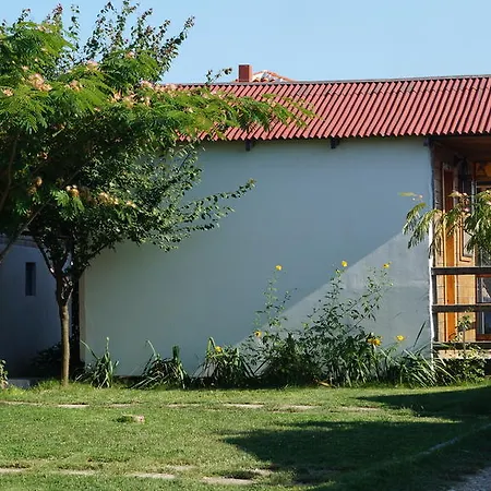 Camping Daviami
