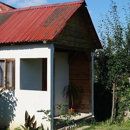 Camping Daviami