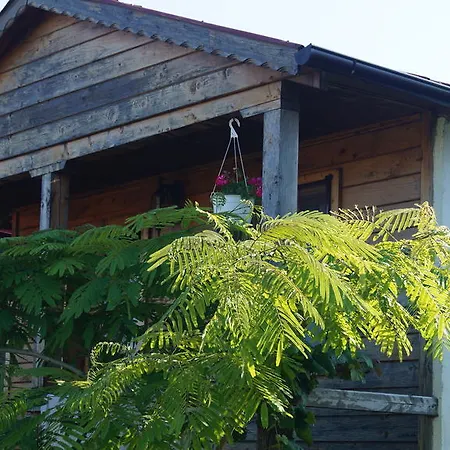 Camping Daviami Вама-Веке